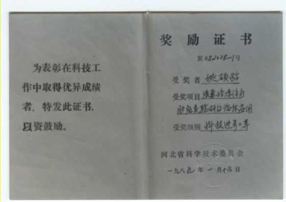 獎勵證書